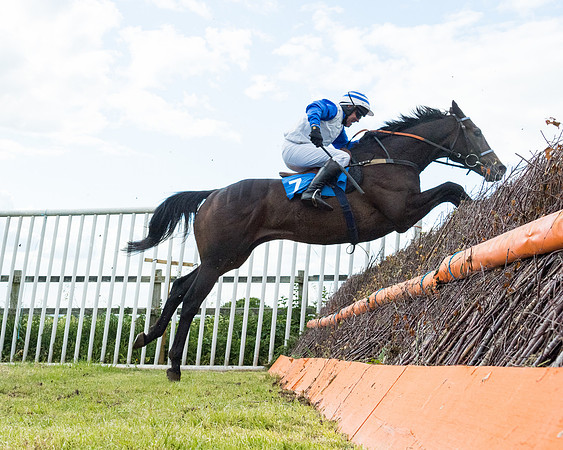 Race 5 - Restricted  (89 of 136)