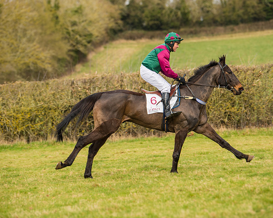 Race 2 - Open Maiden (7 of 128)
