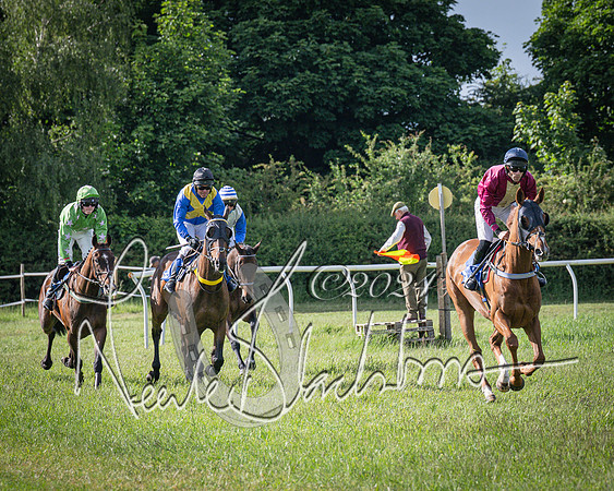 Race 6 - Thorn Plant Hire Maiden Race (42 of 129)