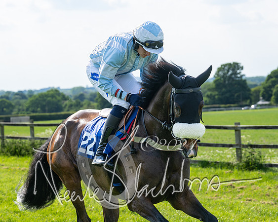 Race 5  - Maiden race 2m5F Div-1 (80 of 197)