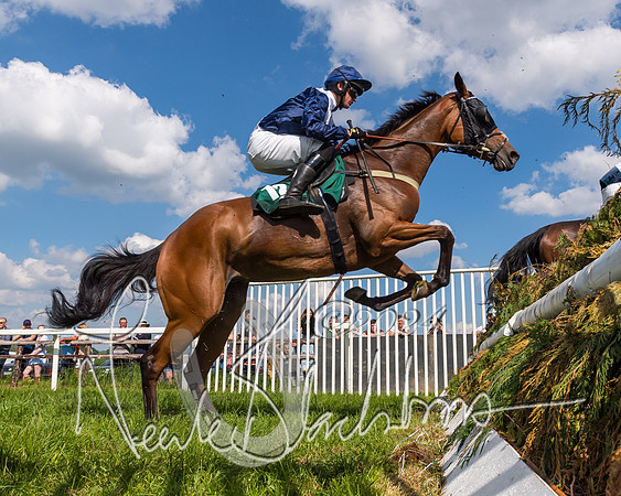 Race 4 - PPORA Novice Riders Final  (158 of 362)