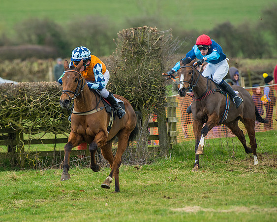 Pony Race 3 (38 of 67)