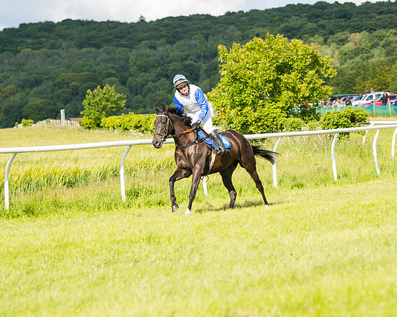 Race 6 - Open Maiden (51 of 227)