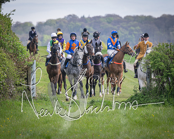 Race 2 - The Elliott of London maiden race (30 of 137)