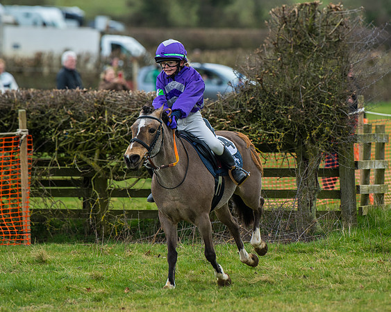 Pony Race 1 (71 of 101)