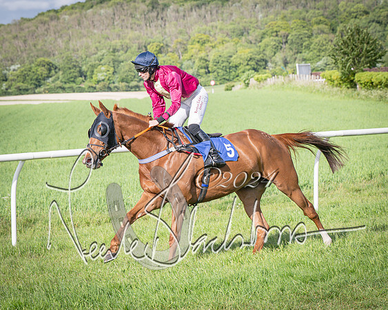 Race 6 - Thorn Plant Hire Maiden Race (37 of 129)