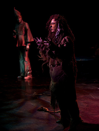 The Wizard of OZ -  164