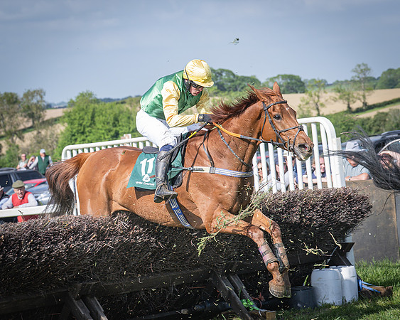 Race 5 - Restricted (91 of 116)