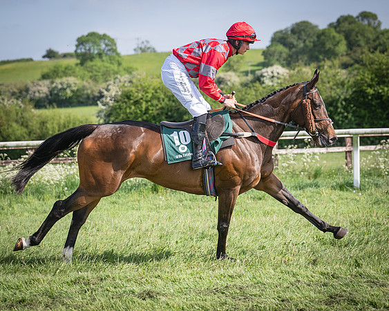 Race 5 - Restricted (34 of 116)