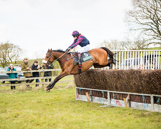 Race 3 - Owner Trainer conditions (105 of 132)
