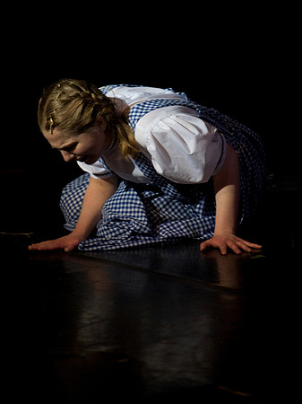 The Wizard of OZ -  352