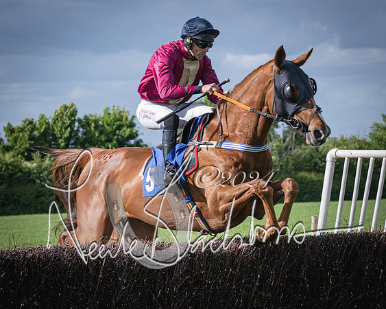 Race 6 - Thorn Plant Hire Maiden Race (46 of 129)
