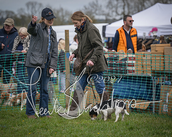 Bicester - Dog Show (57 of 106)