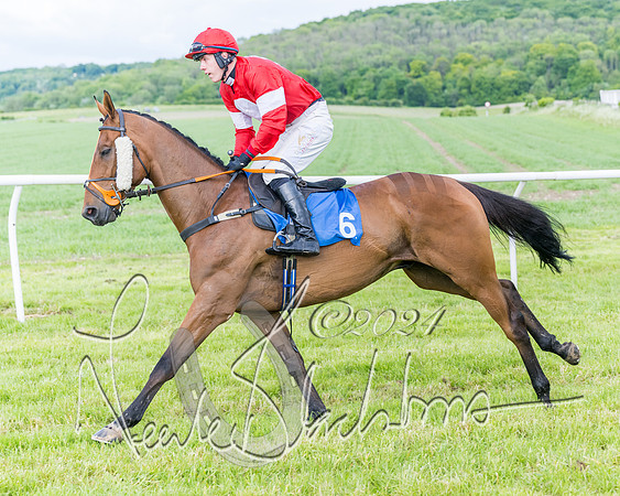 Race 5 - Restricted Race (82 of 434)