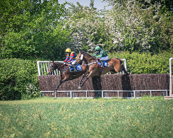 Race 3 The College and County Ladies Open Race (54 of 122)