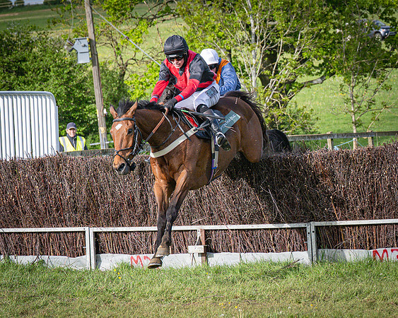 Race 7 - Walnut Hill PPORA club members maiden (64 of 104)