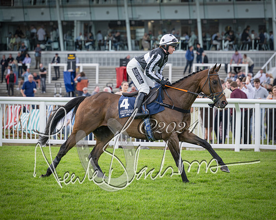 Race 2 - Olly Murphy Racing Stratford Ladies Open (36 of 111)