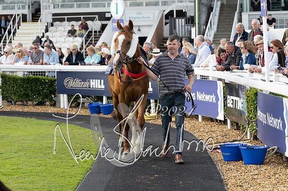 Race 3 - The pointtopoint.co.uk champion novices’ Hunter Chase (40 of 140)