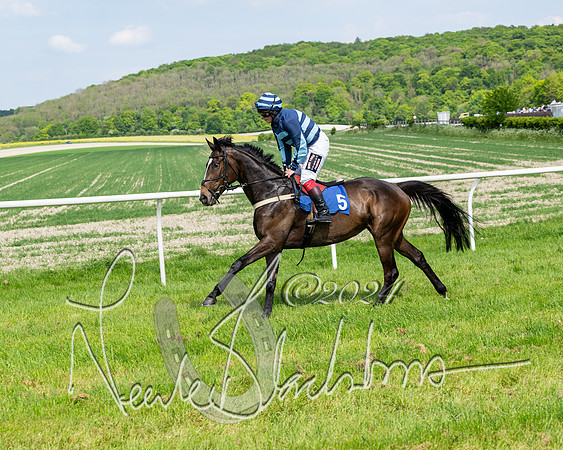 Race 3 - Ladies Open  (28 of 133)