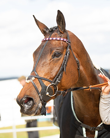 Race 5 - Restricted  (106 of 118)