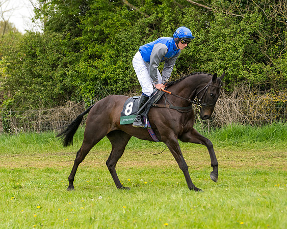Race 7 - Open Maiden  (21 of 106)