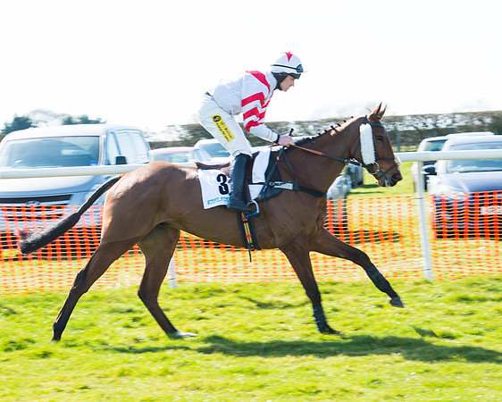 Race 1 - Open Maiden Div 1 (29 of 88).jpg
