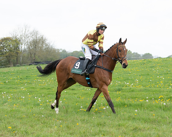 Race 2 - Jockey Club ROR veteran Horse (19 of 104)