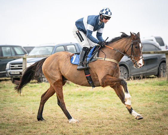 Race 2 - The Maiden (29 of 156)