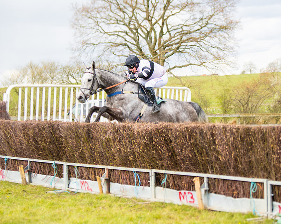 Race 5 - Restricted  (74 of 118)