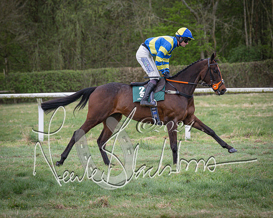 Race 7 - The Jockey Club maiden race for Mares and Fillies only (16 of 96)