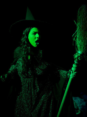 The Wizard of OZ -  89