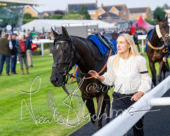 Race 4 - Stratford Foxhunters (4 of 145)
