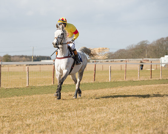 Race 1 - 4-5-6 Maiden (58 of 119).jpg