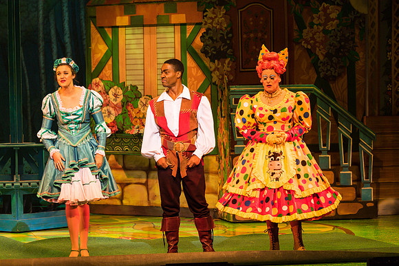 Swan Panto 2017