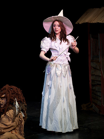The Wizard of OZ -  202