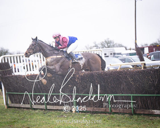 Race 2 - Restricted (43 of 70)-Enhanced-NR