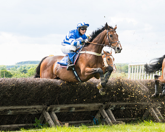 Race 2 - PPORA Novice Riders  (114 of 187)