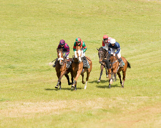 Race 3 - Owner Trainer conditions (55 of 132)