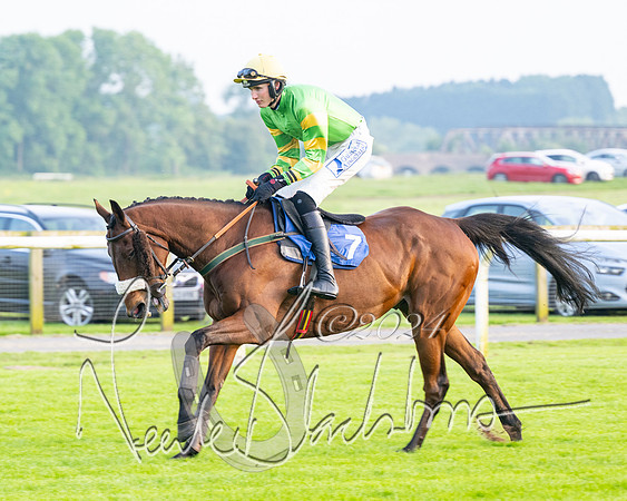 Race 5 - Peter Wright Handicap (11 of 117)