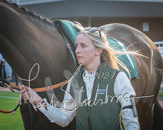 Race 6 - The Brooklands watches Golden Miller chronograph open hunter’s steeplechase 4m 97y (28 of 396)