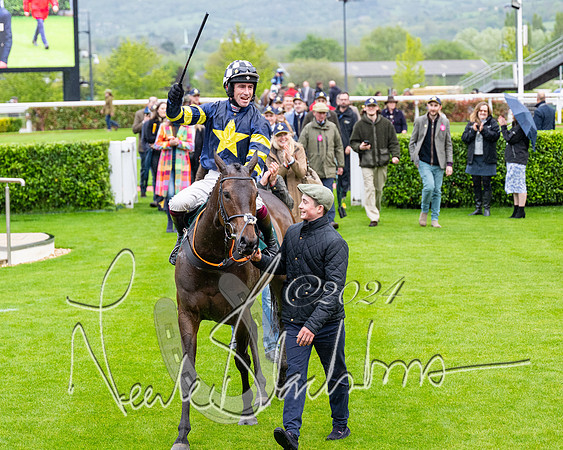 Race 5 - Mares Open  (91 of 129)