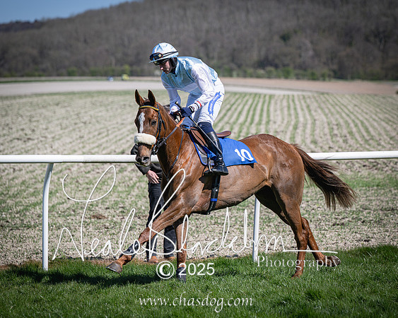 Race 2 - The Maiden (36 of 118)