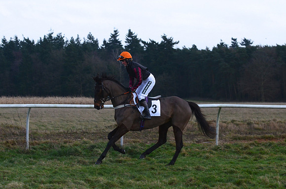 Novice Riders 24