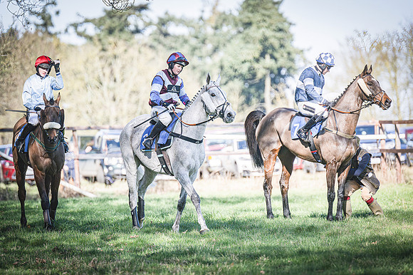 Race 1 - Veteran Horse (16 of 62)
