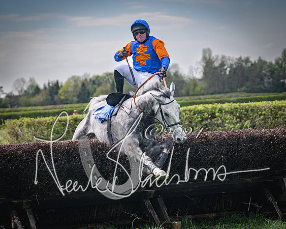 Race 2 - The Elliott of London maiden race (115 of 137)