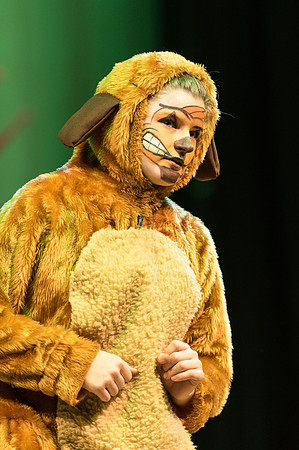 Lion King Saturday (120 of 201).jpg