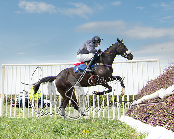 Race 2 - The Elliott of London maiden race (110 of 137)