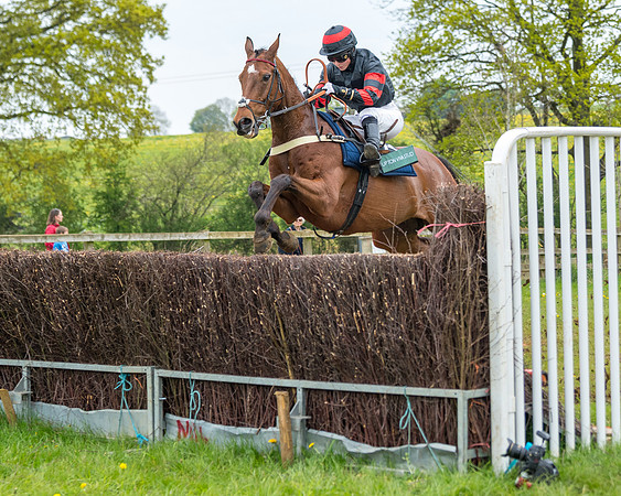 Race 2 - Jockey Club ROR veteran Horse (73 of 104)