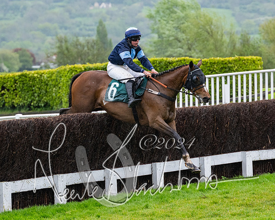 Race 5 - Mares Open  (74 of 129)