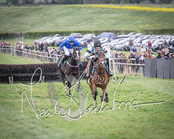 Race 2 - Tattersalls Cheltenham 4 year old Maiden (54 of 85)